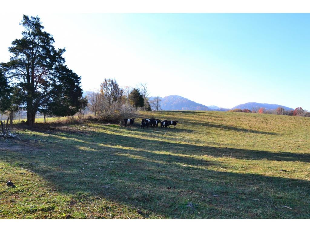 * Denton Valley Road Bristol, TN 37620 - Photo 11 of 22 Photo 11