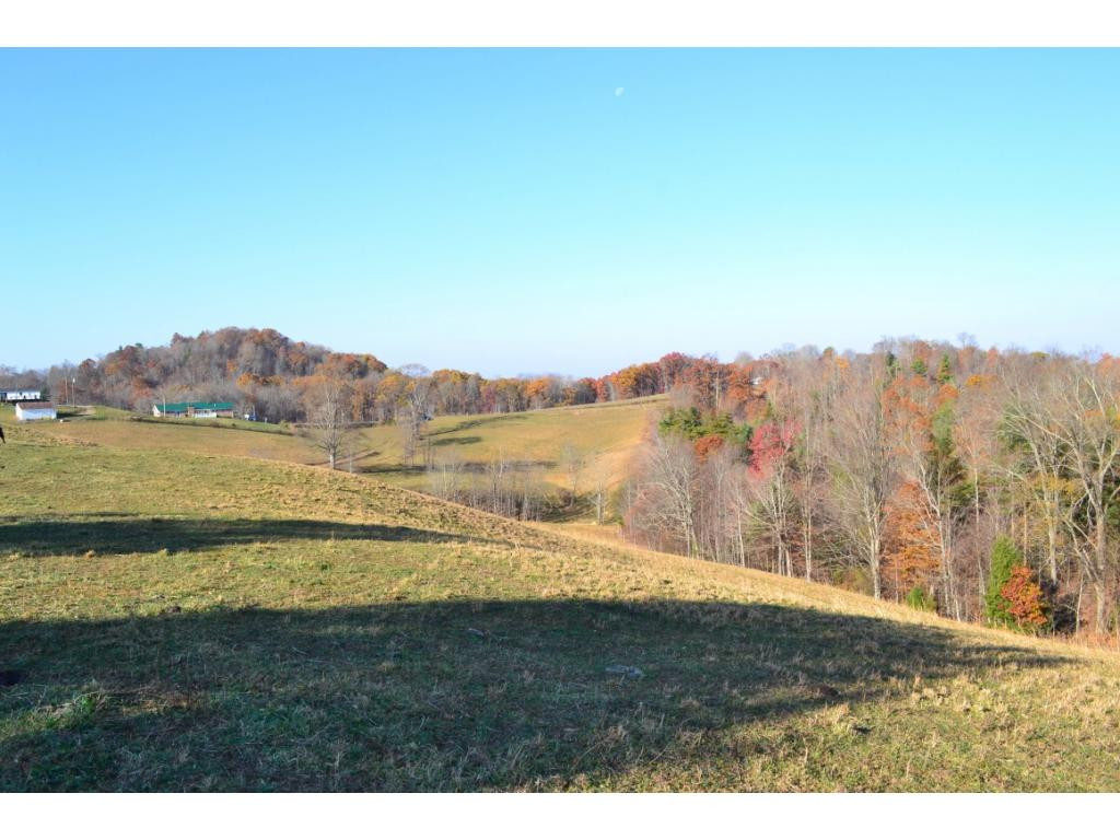 * Denton Valley Road Bristol, TN 37620 - Photo 12 of 22 Photo 12