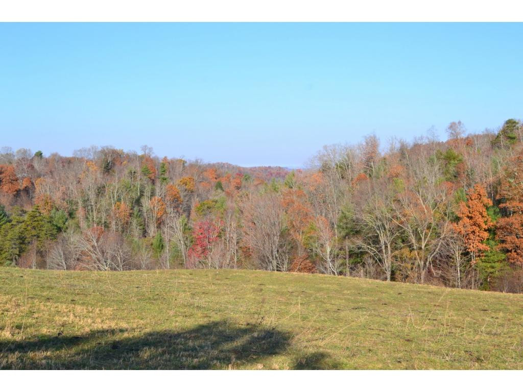 * Denton Valley Road Bristol, TN 37620 - Photo 14 of 22 Photo 14