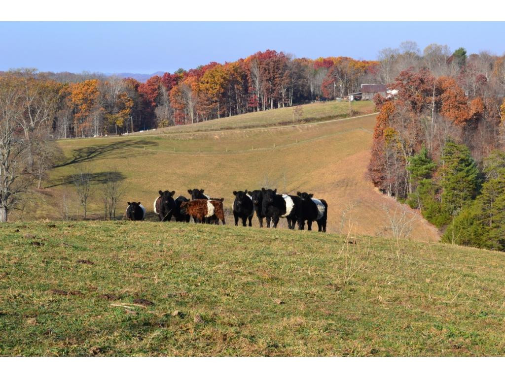 * Denton Valley Road Bristol, TN 37620 - Photo 15 of 22 Photo 15