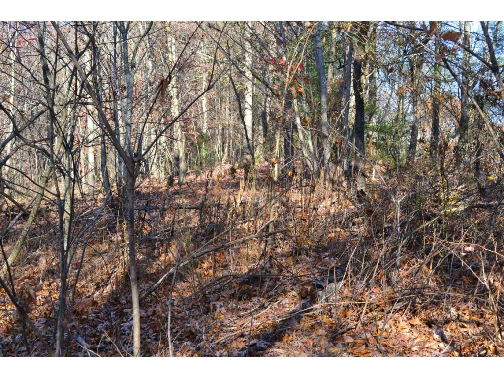 * Denton Valley Road Bristol, TN 37620 - Photo 17 of 22 Photo 17