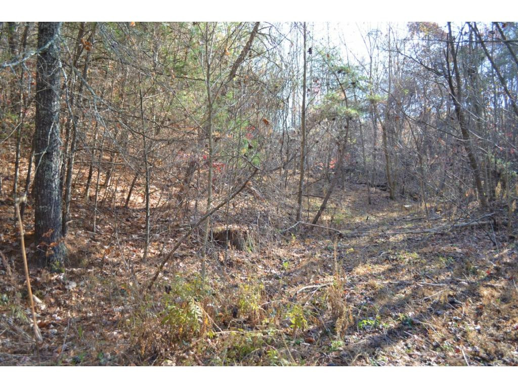 * Denton Valley Road Bristol, TN 37620 - Photo 20 of 22 Photo 20