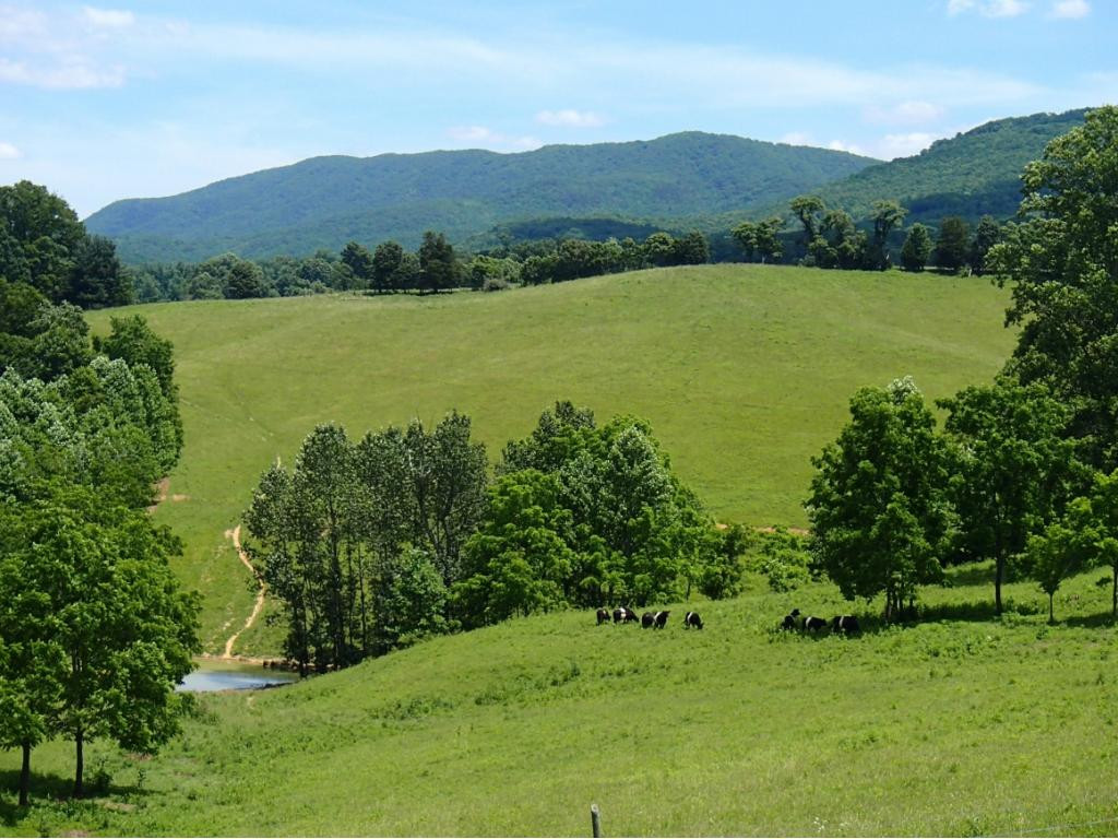 * Denton Valley Road Bristol, TN 37620 - Photo 3 of 22 Photo 3