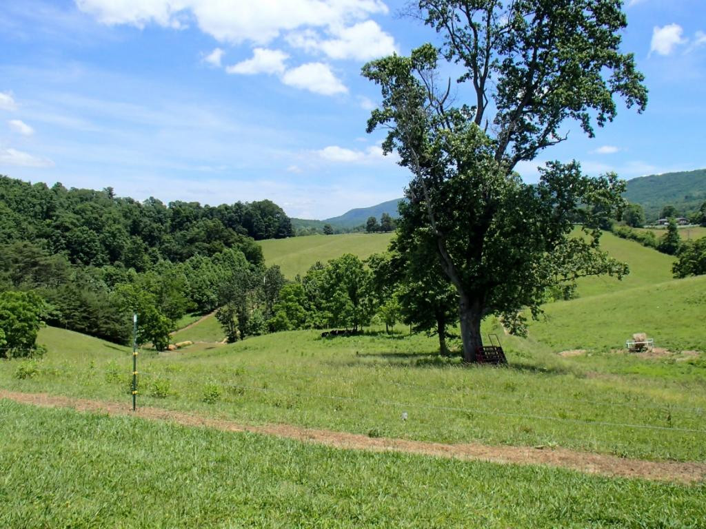 * Denton Valley Road Bristol, TN 37620 - Photo 4 of 22 Photo 4