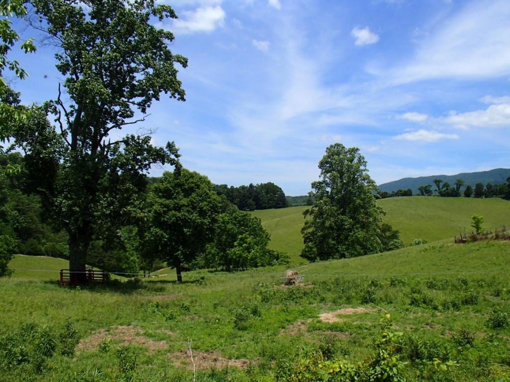 * Denton Valley Road Bristol, TN 37620 - Photo 5 of 22 Photo 5