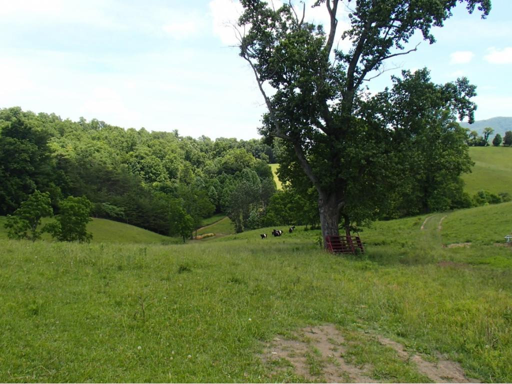 * Denton Valley Road Bristol, TN 37620 - Photo 6 of 22 Photo 6