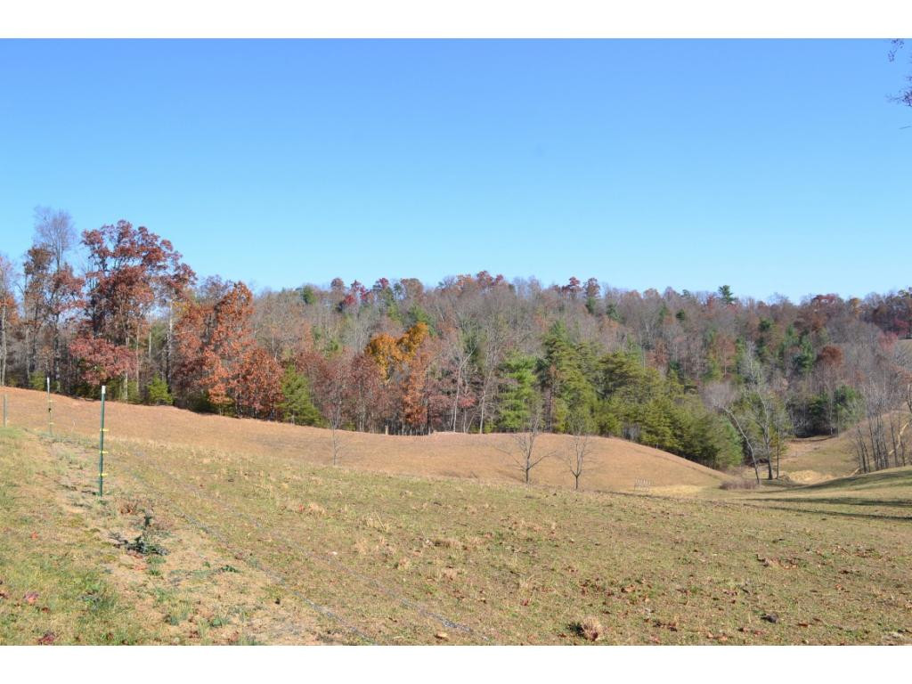* Denton Valley Road Bristol, TN 37620 - Photo 8 of 22 Photo 8