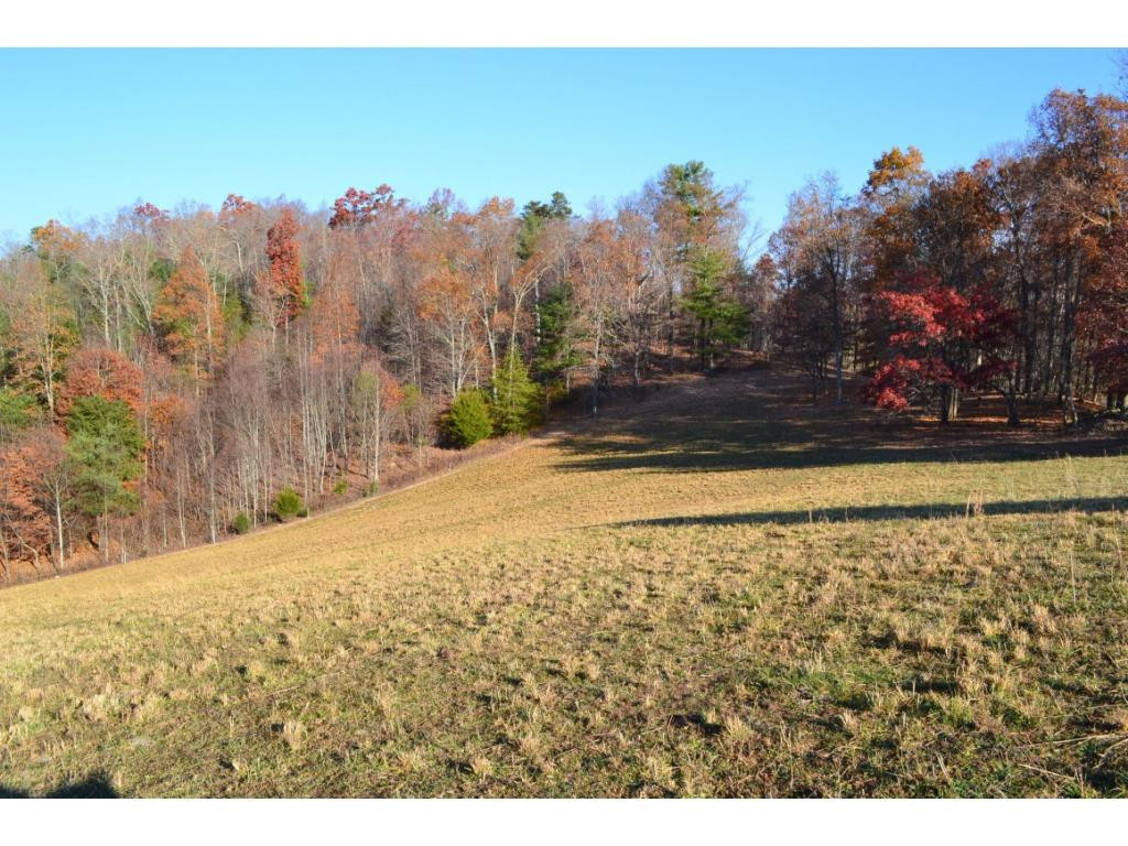 * Denton Valley Road Bristol, TN 37620 - Photo 10 of 22 Photo 10