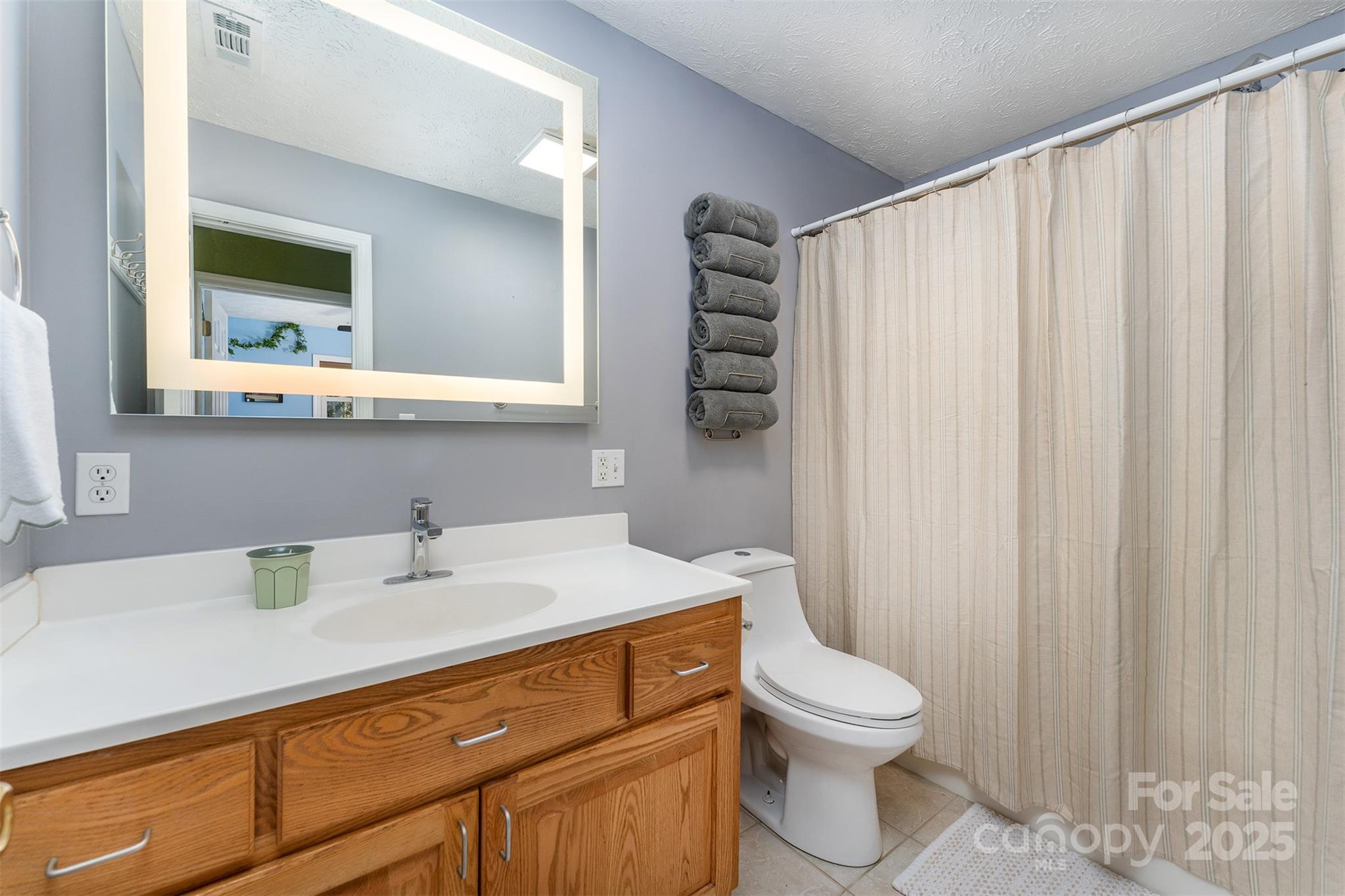 141 Willets Point Boulevard Nebo, NC 28761 - Photo 17 of 29 a bathroom with a toilet a sink and a mirror
