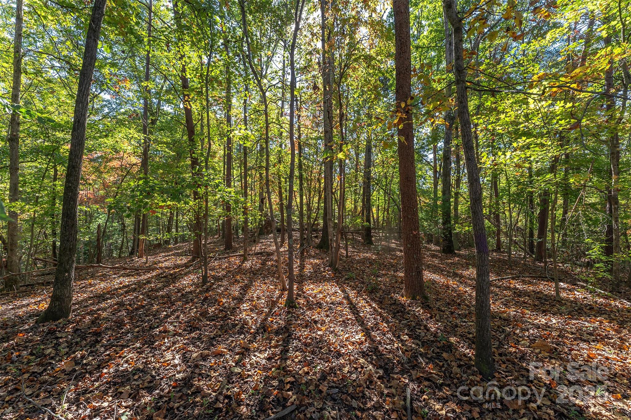 141 Willets Point Boulevard Nebo, NC 28761 - Photo 25 of 29 a view of outdoor space and trees