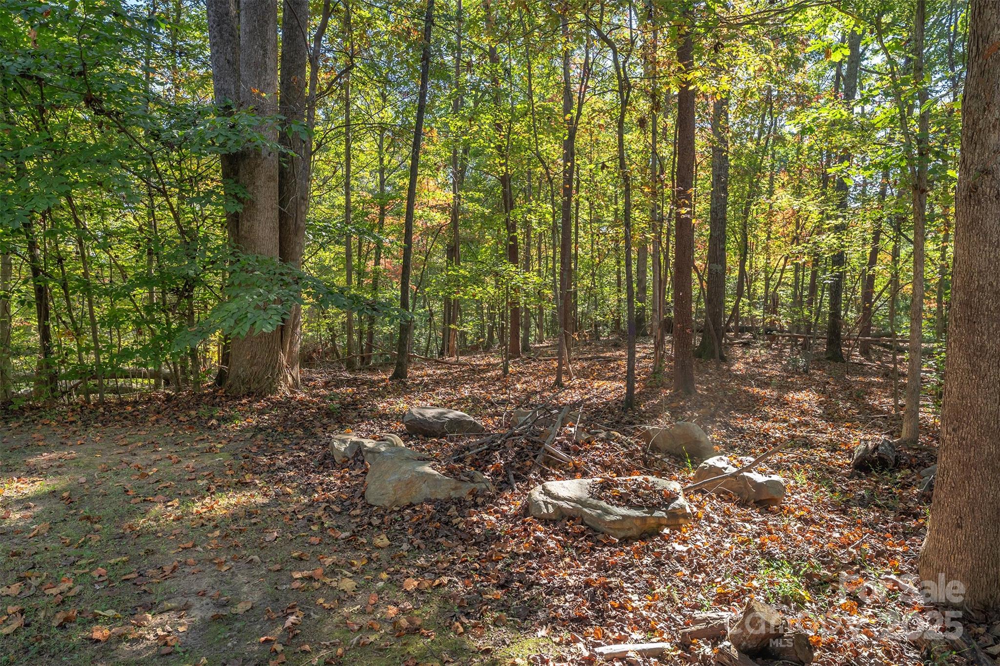 141 Willets Point Boulevard Nebo, NC 28761 - Photo 26 of 29 a view of outdoor space and trees