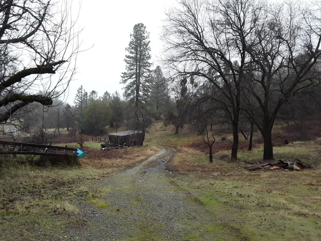 a view of a lake with trees