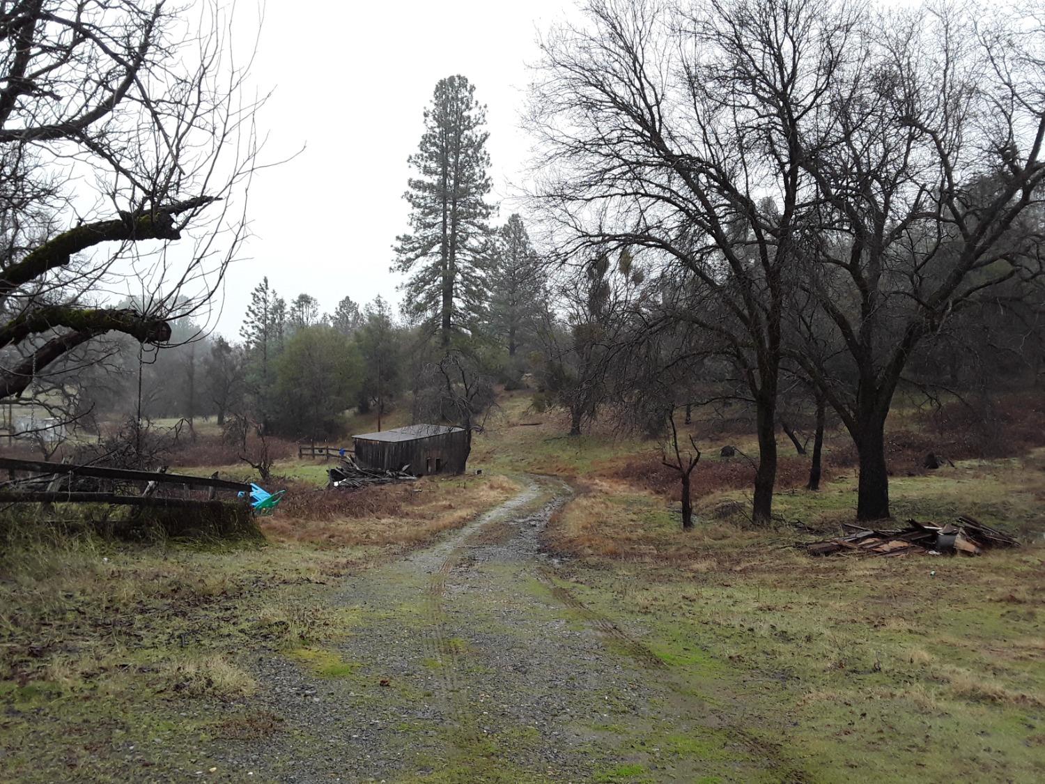 a view of a lake with trees