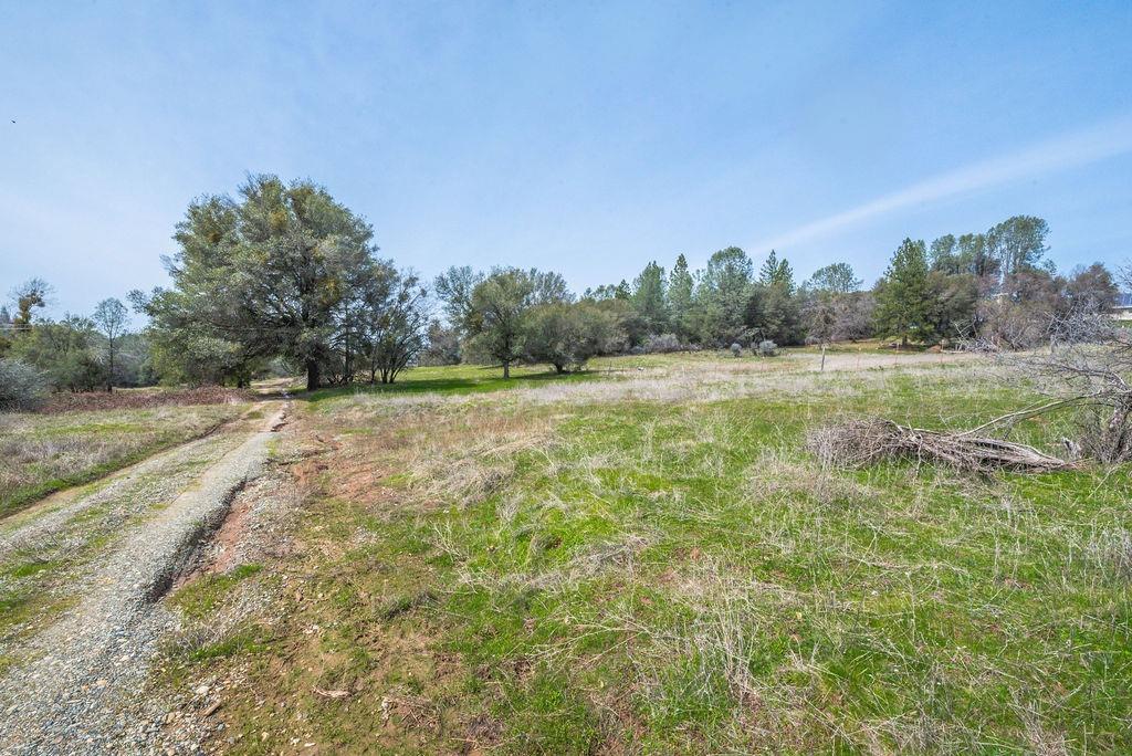 8260 Fairplay Road Somerset, CA 95684 - Photo 12 of 21 a view of a field with an trees