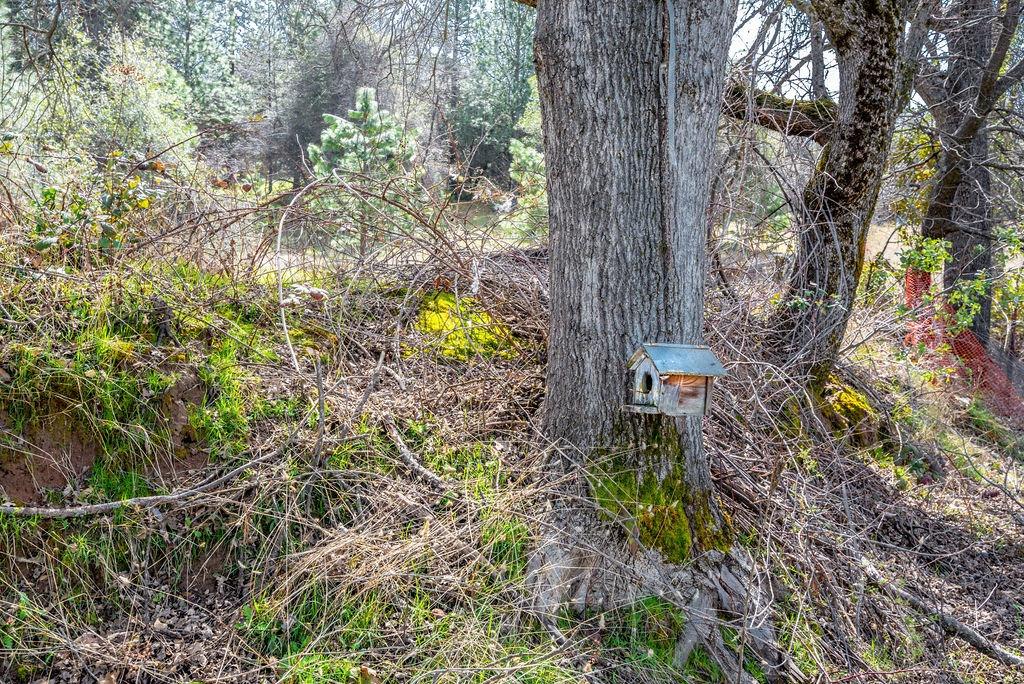 8260 Fairplay Road Somerset, CA 95684 - Photo 15 of 21 a backyard of a house with lots of green space