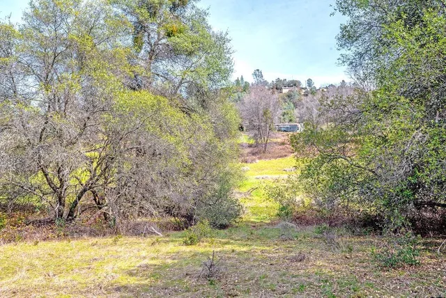 a view of a field with trees in the background