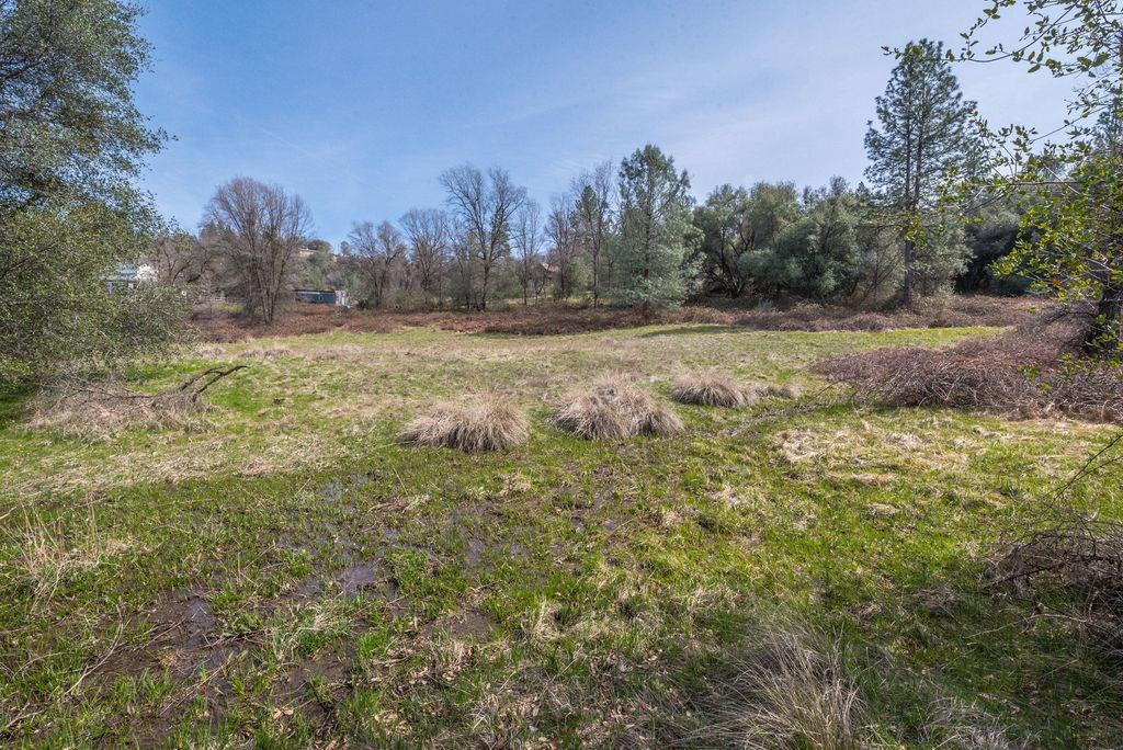 8260 Fairplay Road Somerset, CA 95684 - Photo 19 of 21 a view of a field with trees in the background