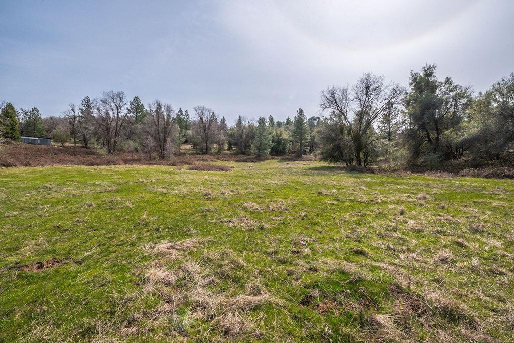 8260 Fairplay Road Somerset, CA 95684 - Photo 2 of 21 a view of a field with trees in the background