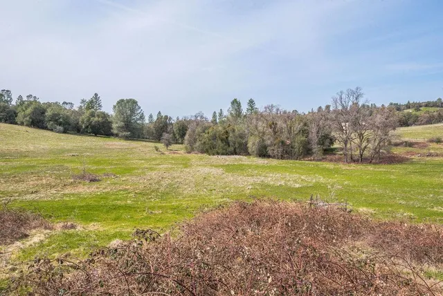a view of an ocean and a yard