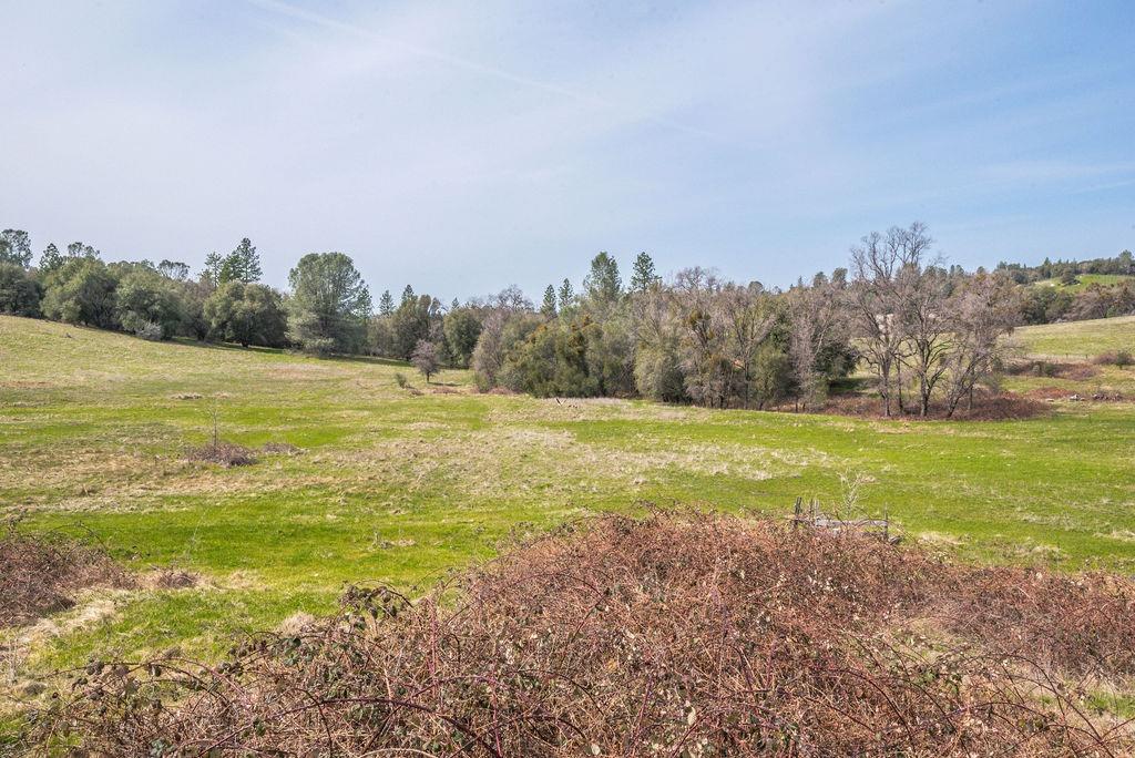 8260 Fairplay Road Somerset, CA 95684 - Photo 5 of 21 a view of an ocean and a yard