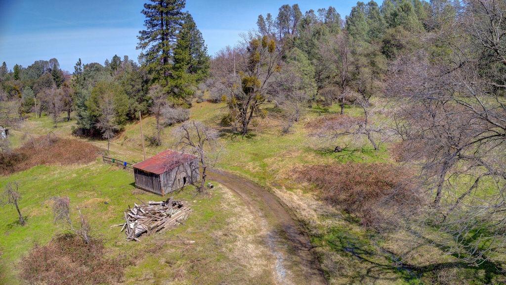 8260 Fairplay Road Somerset, CA 95684 - Photo 7 of 21 a view of a backyard with plants and outdoor seating