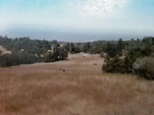 a view of dirt field and mountain view