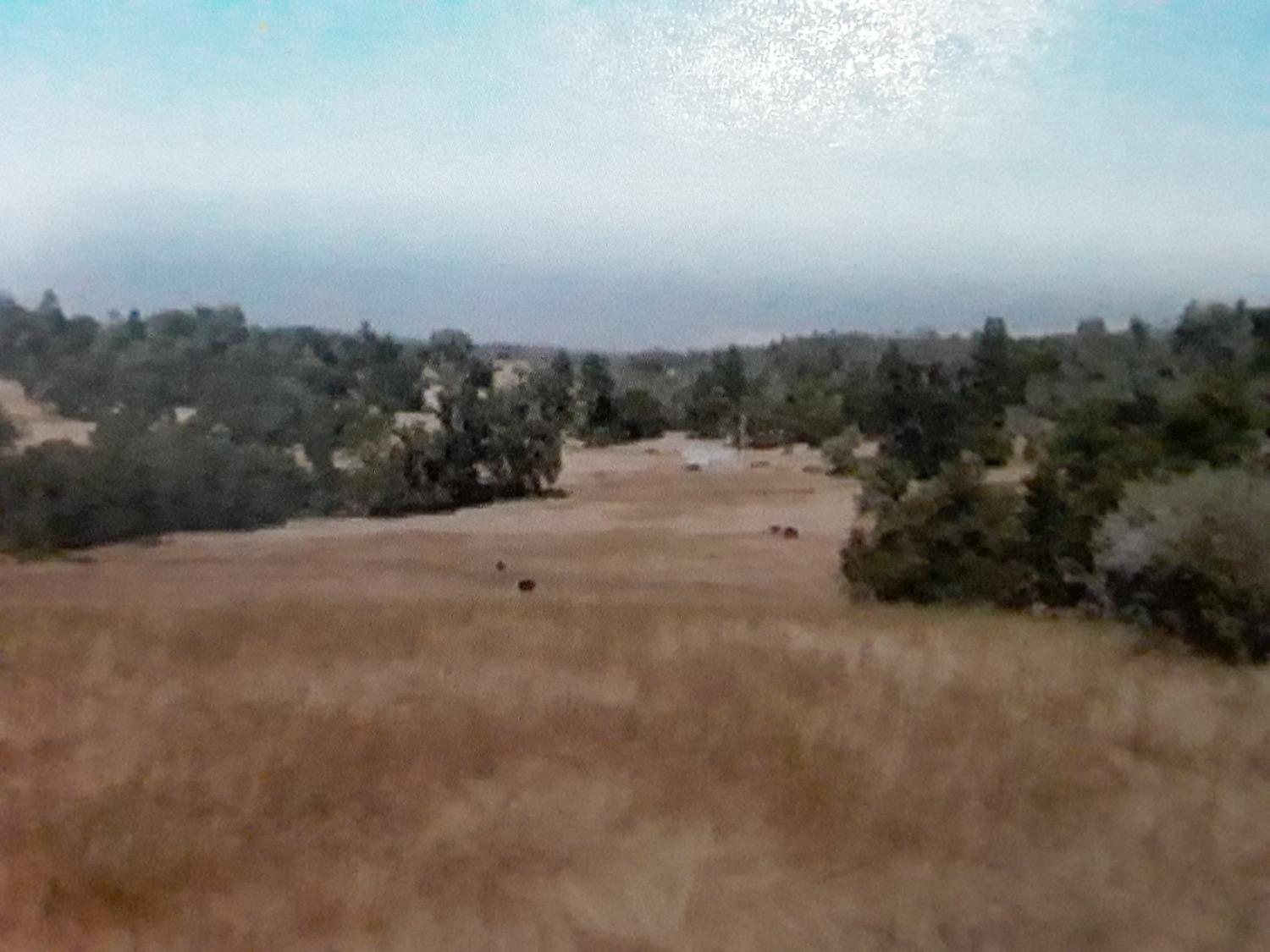 8260 Fairplay Road Somerset, CA 95684 - Photo 8 of 21 a view of dirt field and mountain view