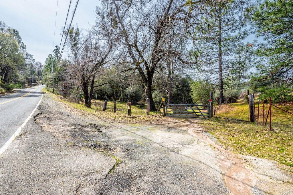 8260 Fairplay Road Somerset, CA 95684 - Photo 9 of 21 a view of a yard with trees