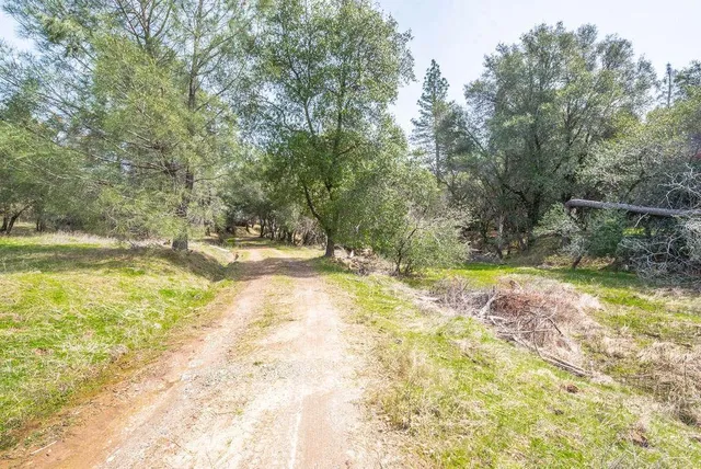 a view of swimming pool with a yard