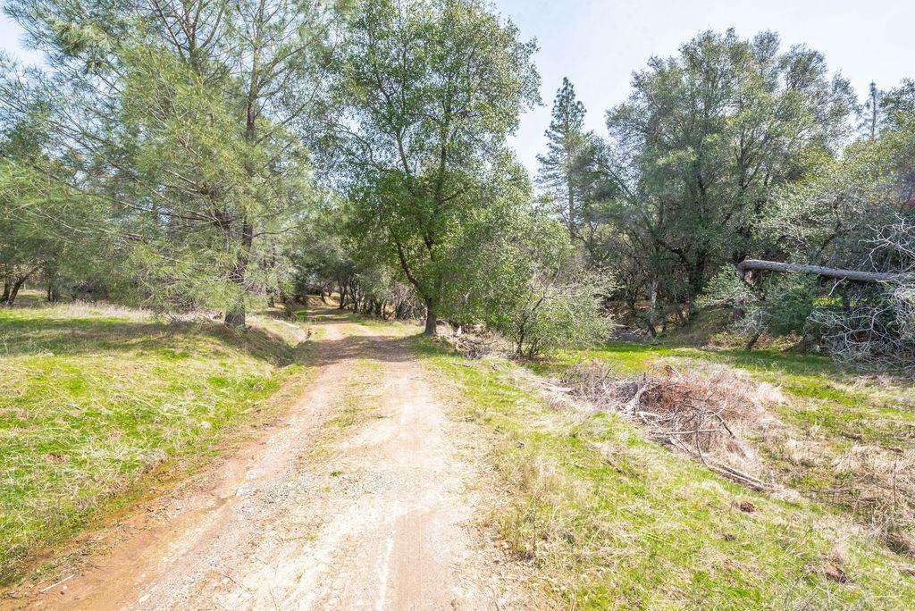 8260 Fairplay Road Somerset, CA 95684 - Photo 10 of 21 a view of swimming pool with a yard