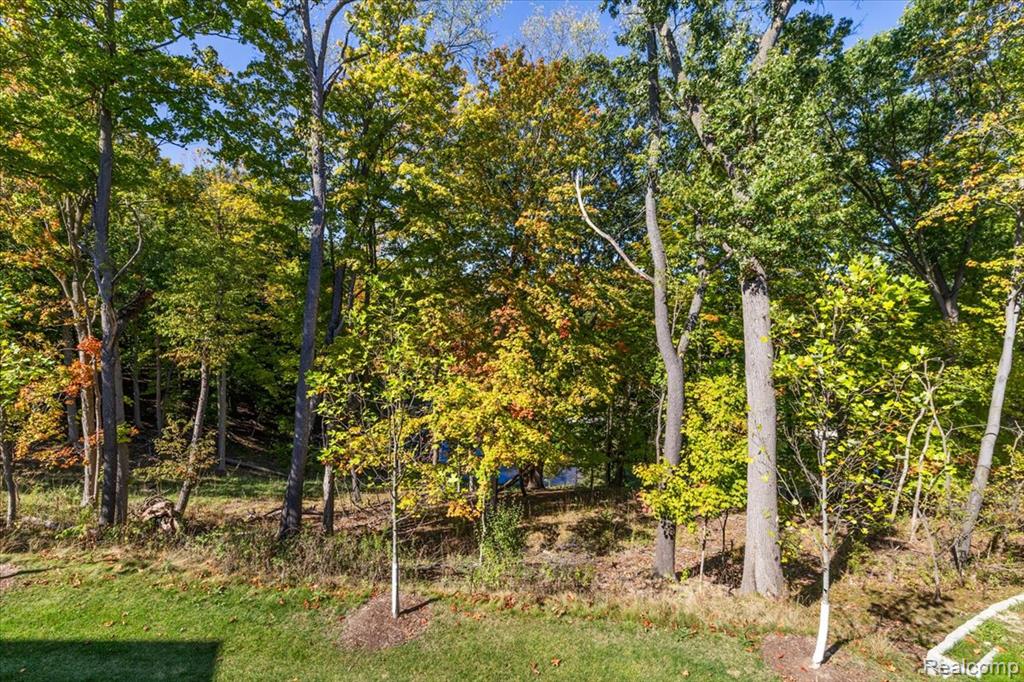 780 Peppermint Drive, Unit 62 Rochester, MI 48307 - Photo 7 of 63