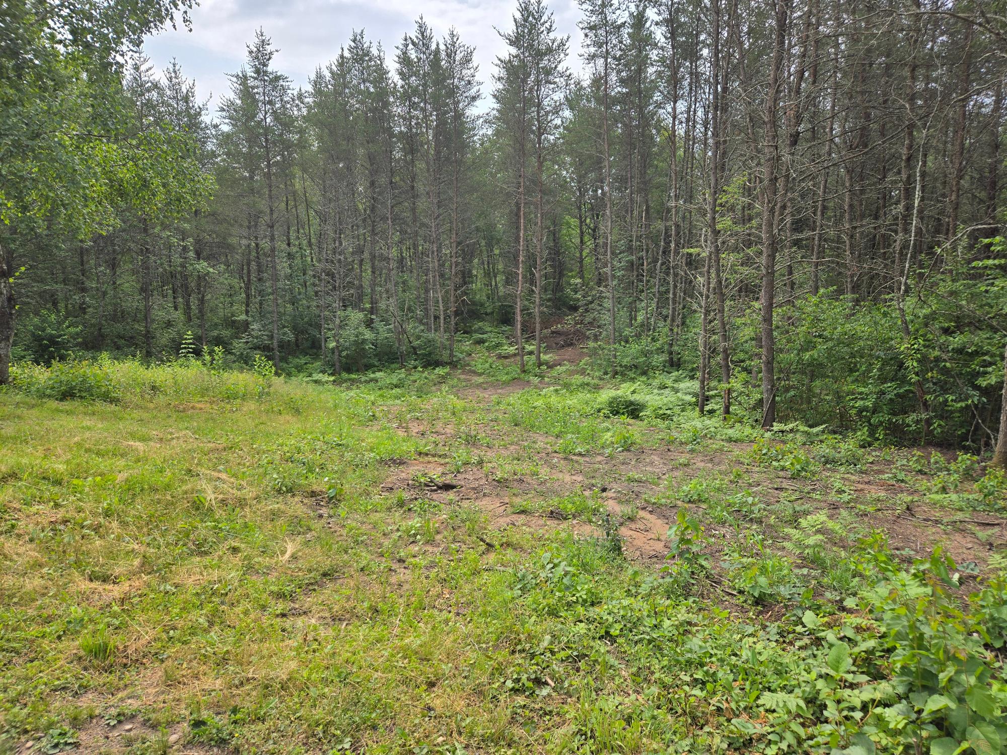 9582 Jenny Lake Road Tomahawk, WI 54487 - Photo 41 of 60 Gallery Image 41