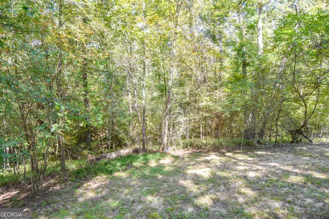 $299,000 | 1111 Seaboard Court, Greensboro, GA 30642