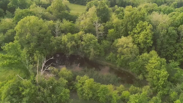 $1,150,000 | 775 Railroad Avenue, Wartrace, TN 37183