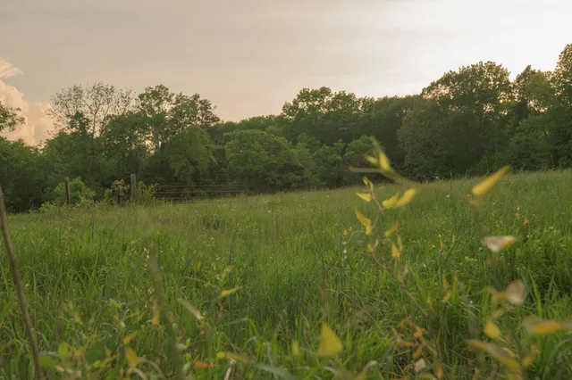 $1,150,000 | 775 Railroad Avenue, Wartrace, TN 37183