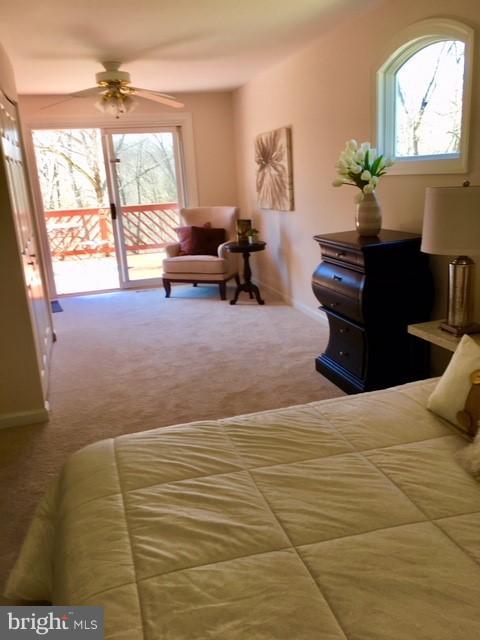 20824 Bell Bluff Road Gaithersburg, MD 20882 - Photo 21 of 29 Bedroom (Master)