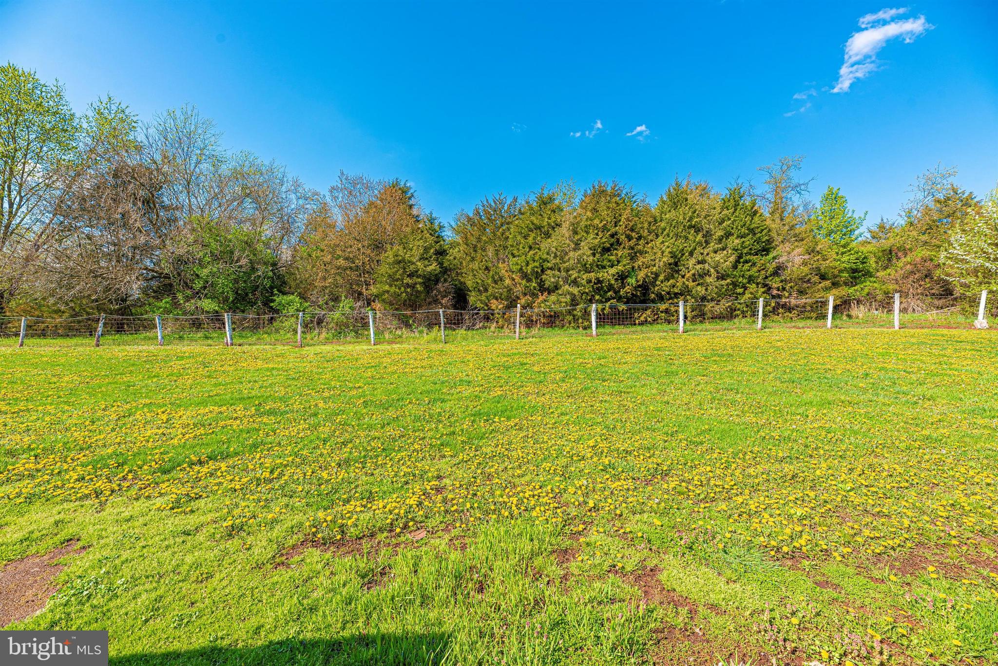 9250 Rocky Ridge Road Rocky Ridge, MD 21778 - Photo 46 of 67 a view of a building with a big yard