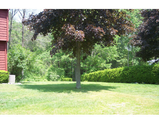 142 Larson Road Stoughton, MA 02072 - Photo 18 of 18 Gallery Image 18