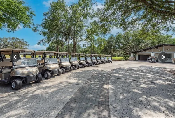 $4,300 | 3829 Spruce Pine Drive, Valrico, FL 33596