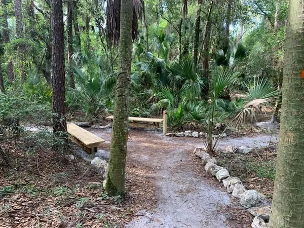 $4,300 | 3829 Spruce Pine Drive, Valrico, FL 33596