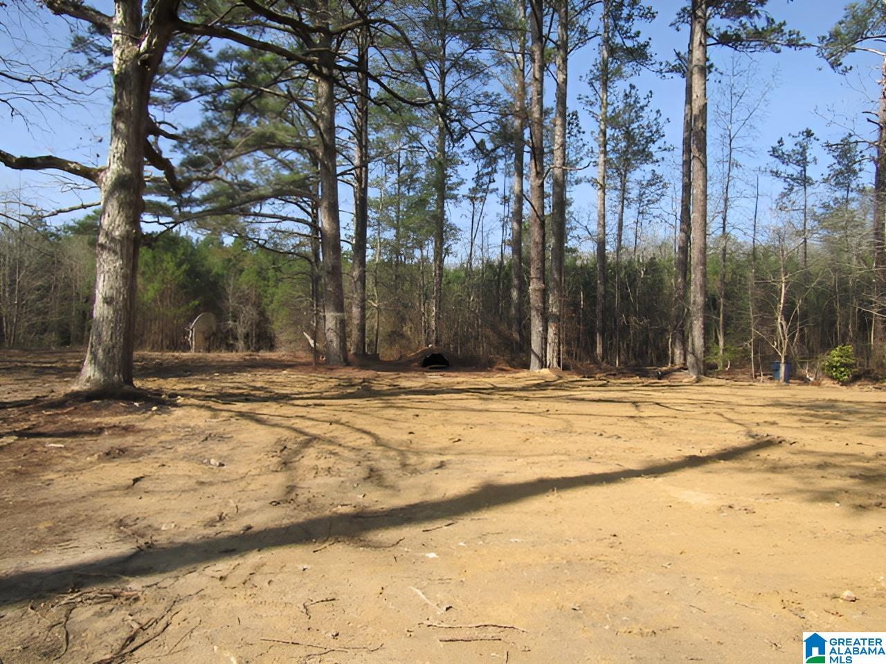 4429 Roy Webb Road Jacksonville, AL 36265 - Photo 23 of 26