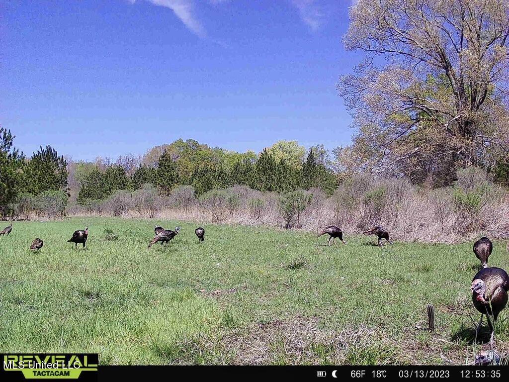 2 Dudley Road Vicksburg, MS 39180 - Photo 1 of 49 land