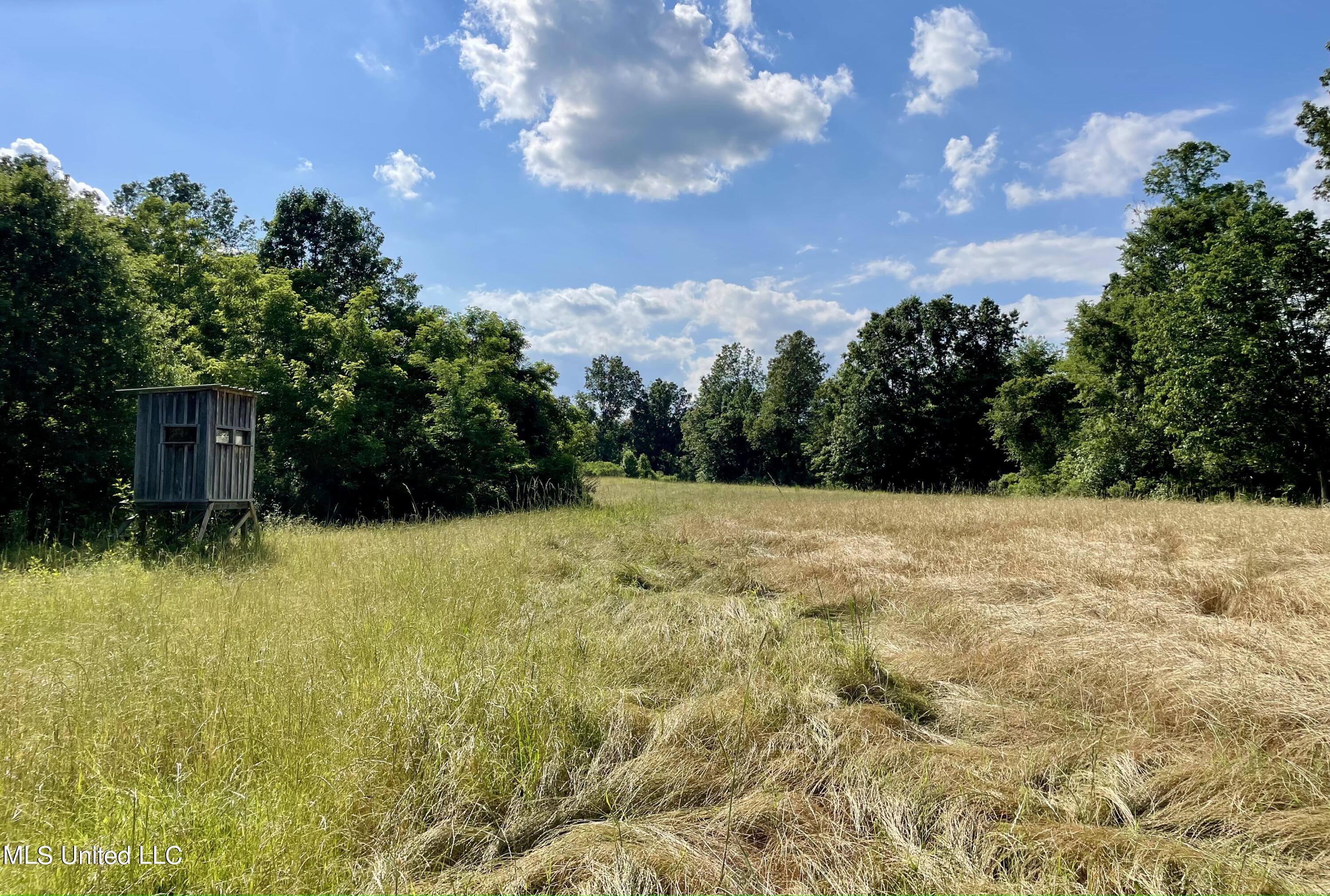 2 Dudley Road Vicksburg, MS 39180 - Photo 11 of 49 C5BAAC41-118C-4363-BEAE-875885C27631