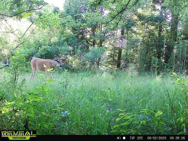 2 Dudley Road Vicksburg, MS 39180 - Photo 14 of 49 DA05A17A-CA11-493E-BC50-5E140E8F8BB5
