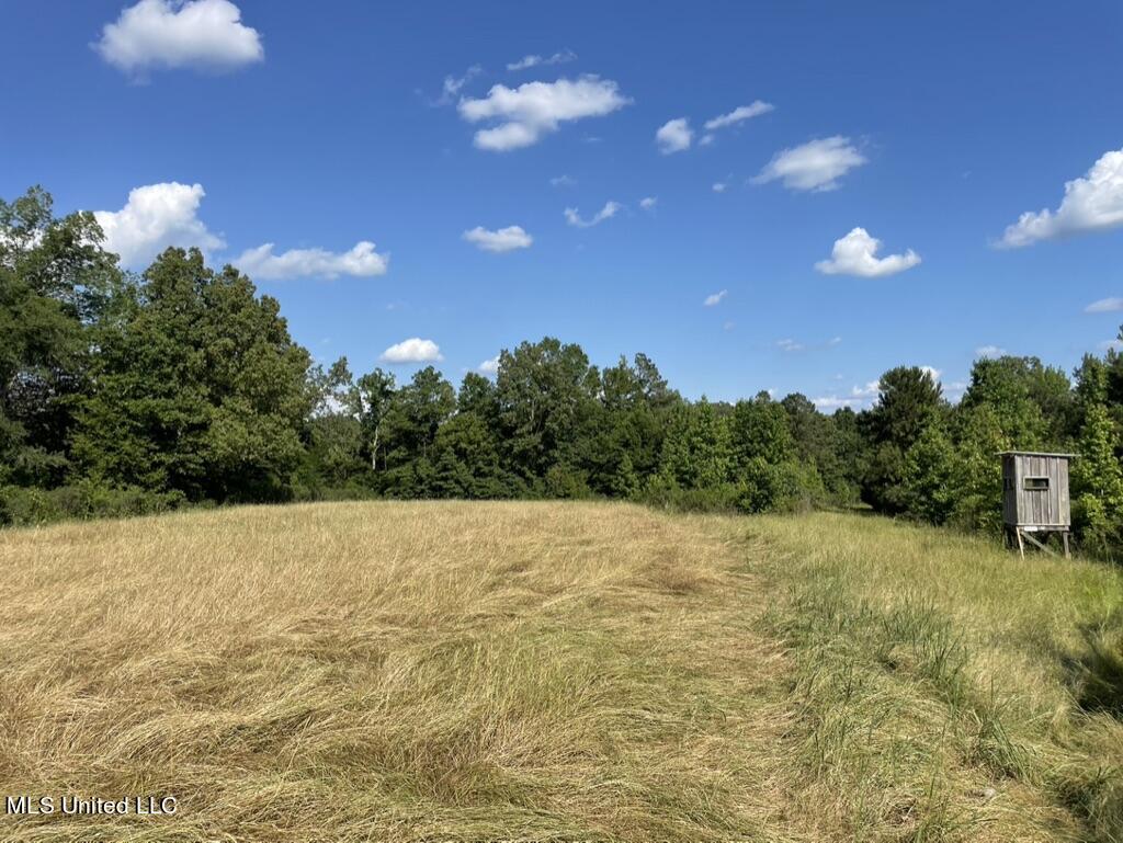 2 Dudley Road Vicksburg, MS 39180 - Photo 15 of 49 B9FC8317-C330-4E99-91FB-7F1338B98C45_1_1