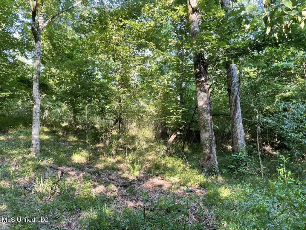 2 Dudley Road Vicksburg, MS 39180 - Photo 17 of 49 0BF213EC-3B37-4D5B-AFFE-2463955DF7FC_1_1