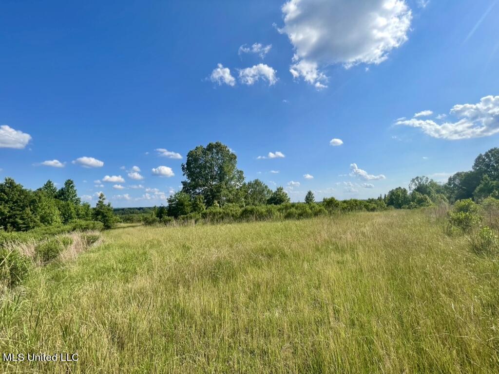 2 Dudley Road Vicksburg, MS 39180 - Photo 18 of 49 599A44F7-2326-4D66-A1AB-793188A82C58_1_1