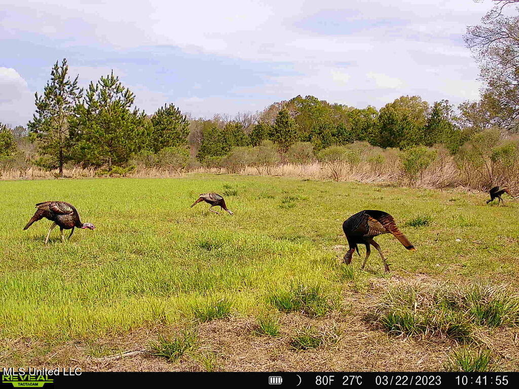 2 Dudley Road Vicksburg, MS 39180 - Photo 19 of 49 6ACF9964-B4E1-420F-A00A-2D9762DBF353_1_1