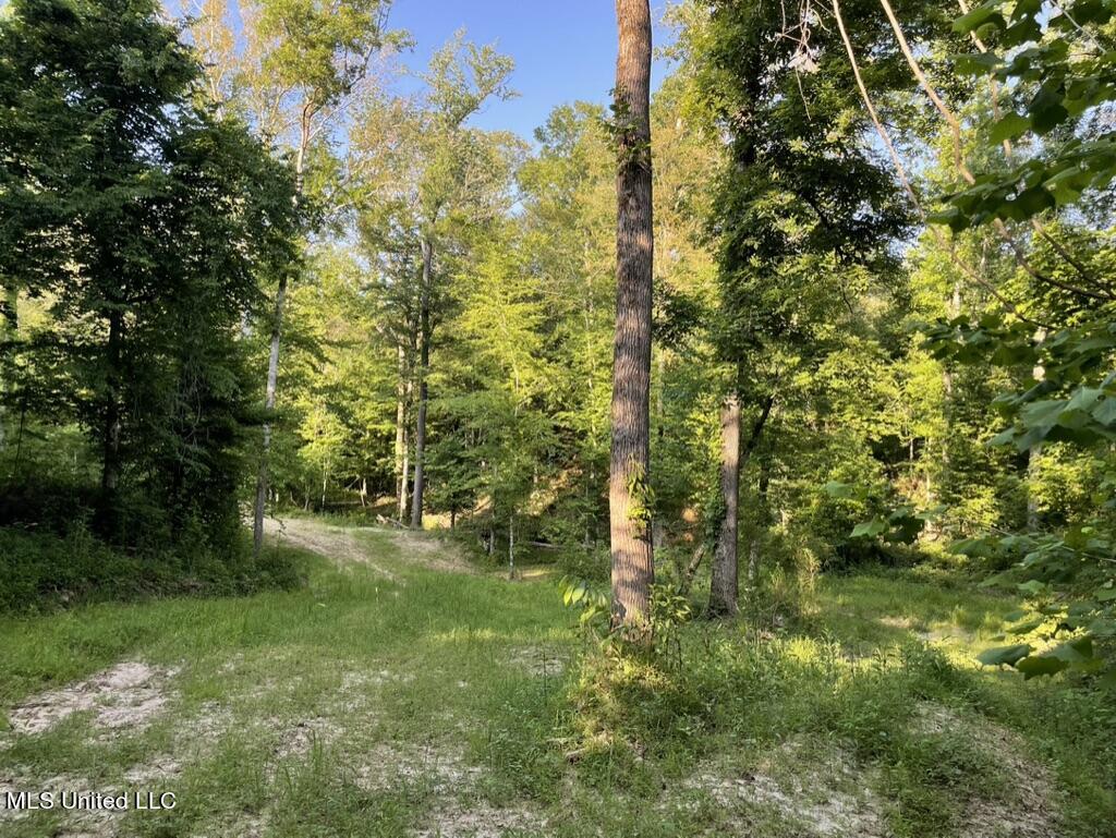 2 Dudley Road Vicksburg, MS 39180 - Photo 21 of 49 0D6FED7B-2FAC-4397-8B19-68716632DCA9_1_1