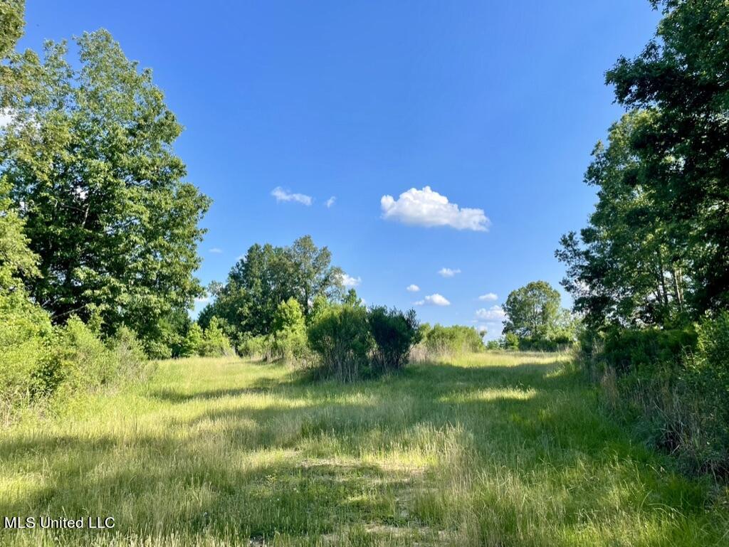 2 Dudley Road Vicksburg, MS 39180 - Photo 23 of 49 99E86BEF-3506-49A7-884C-AEFCC3821675_1_1